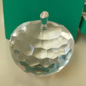 Crystal Apple Paper Weight